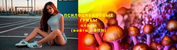 мяу мяу кристалл Богданович