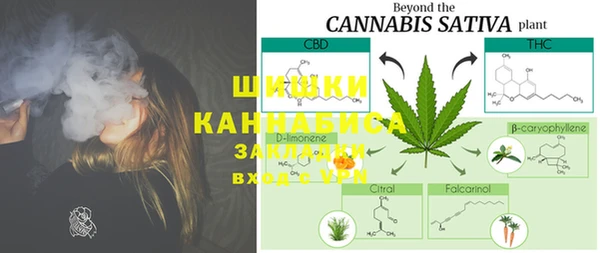 мяу мяу кристалл Богданович