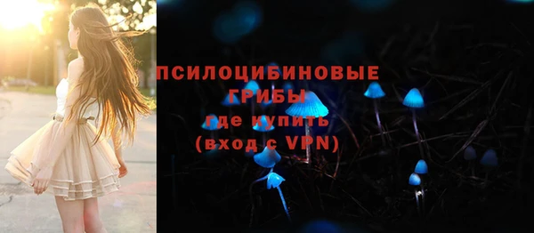 экстази Богородицк