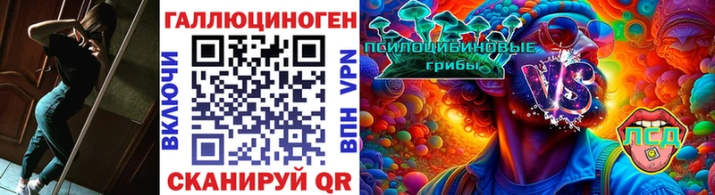 blacksprut ССЫЛКА  Краснокамск  Галлюциногенные грибы GOLDEN TEACHER 
